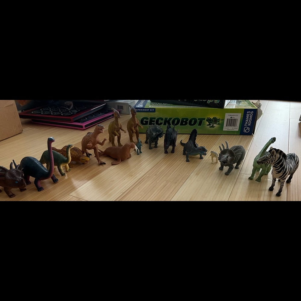You dinosaur set